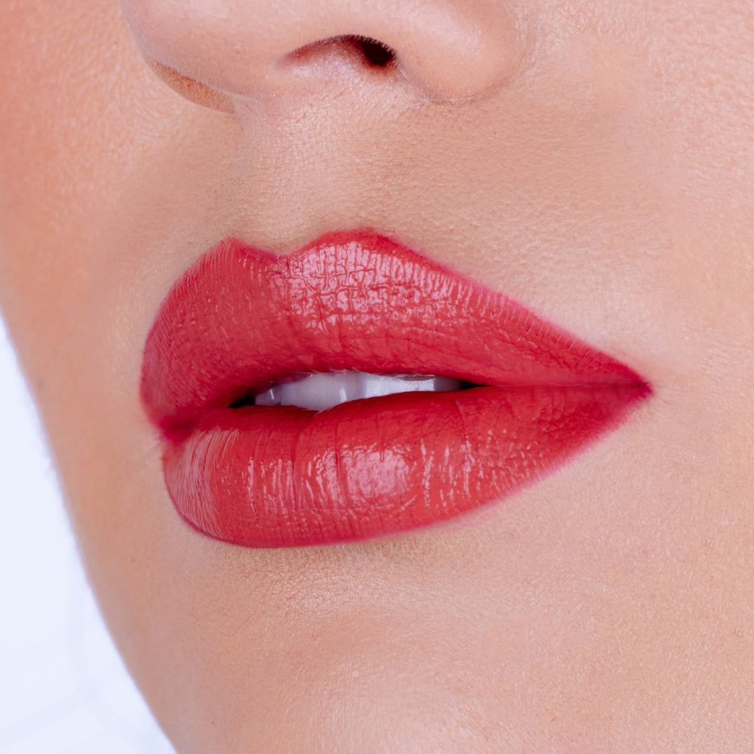 LIP KIT NO. 04 LIP WARM NUDE FUSION